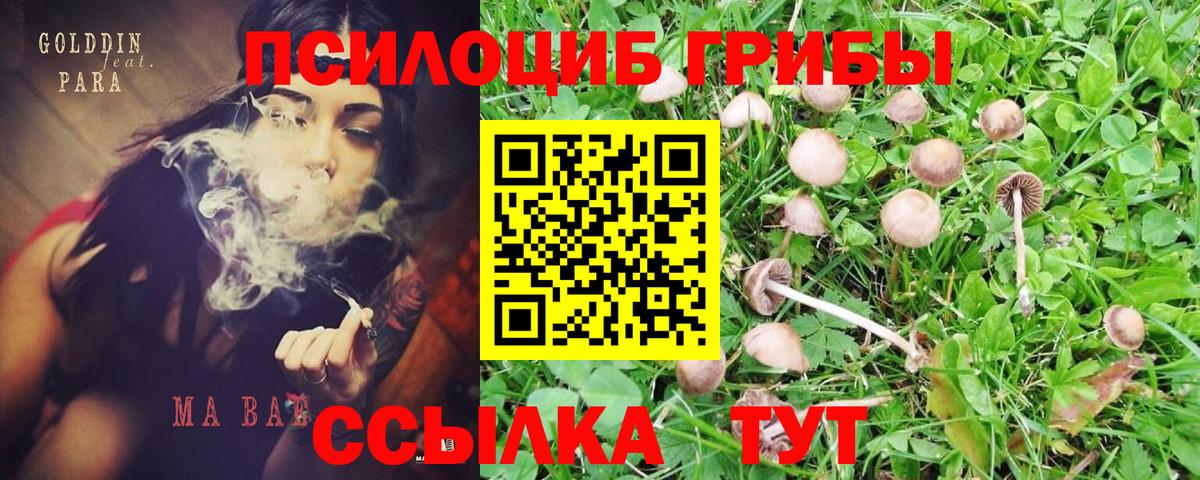 Галлюциногенные грибы MAGIC MUSHROOMS  Калач-на-Дону 